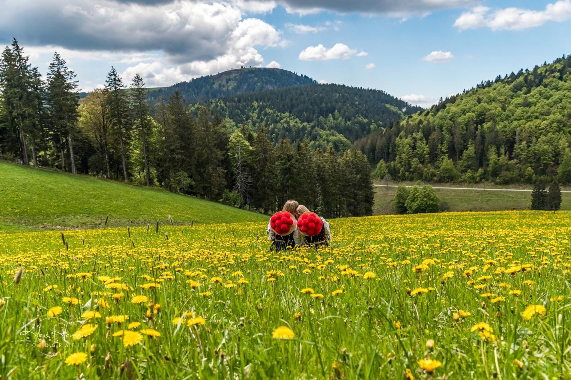 Sommerberg, Lenzkirch, Hochschwarzwaldkarte, 2 Schlafzimmer *